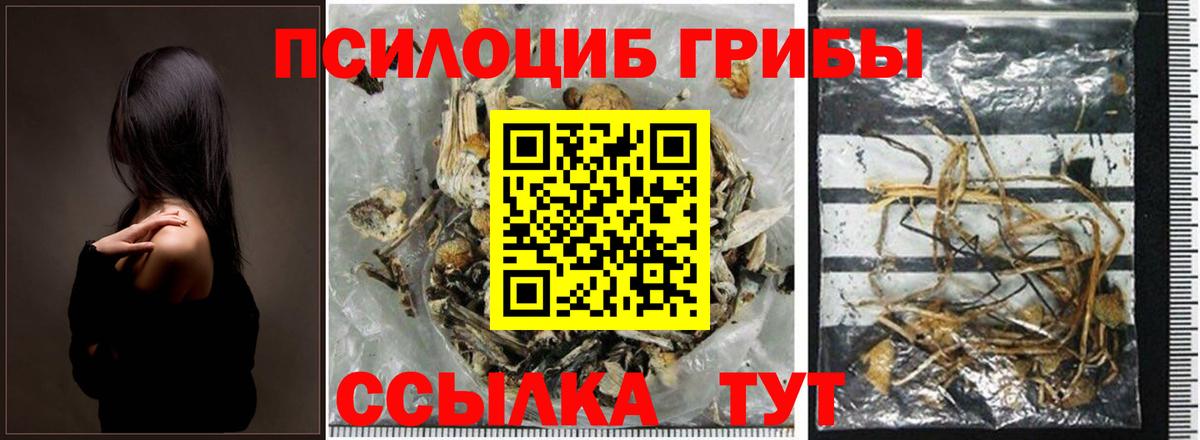 Екатеринбург  Псилоцибиновые грибы Psilocybe  Псилоцибиновые грибы Cubensis  Вход с VPN 